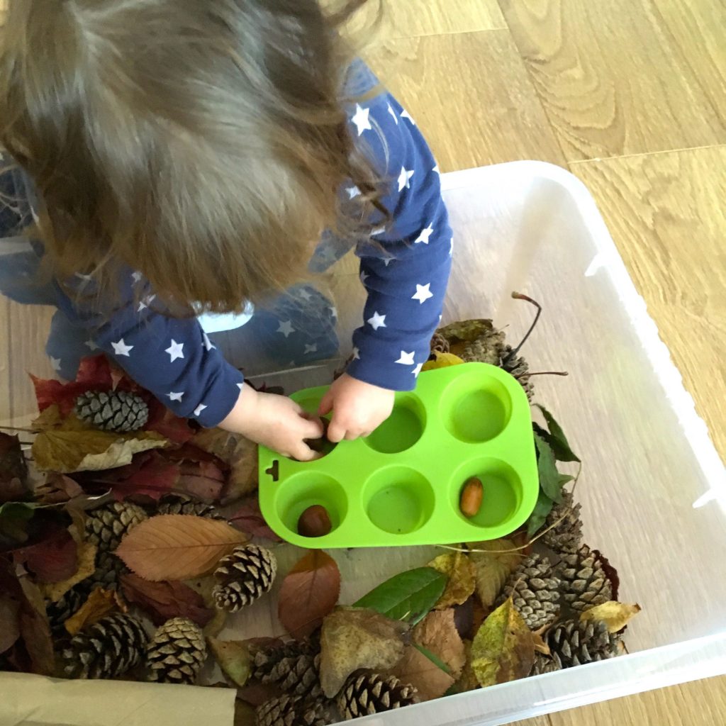 Bamm Boo - How and Why to Set up an Autumn Sensory Bin For Toddlers