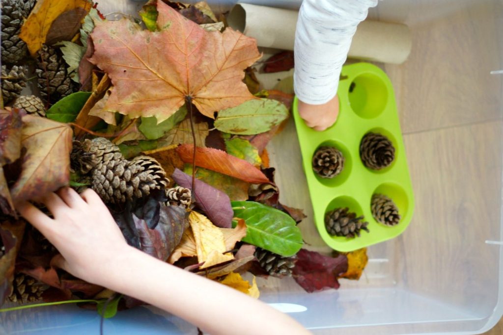 Bamm Boo - How and Why to Set up an Autumn Sensory Bin For Toddlers