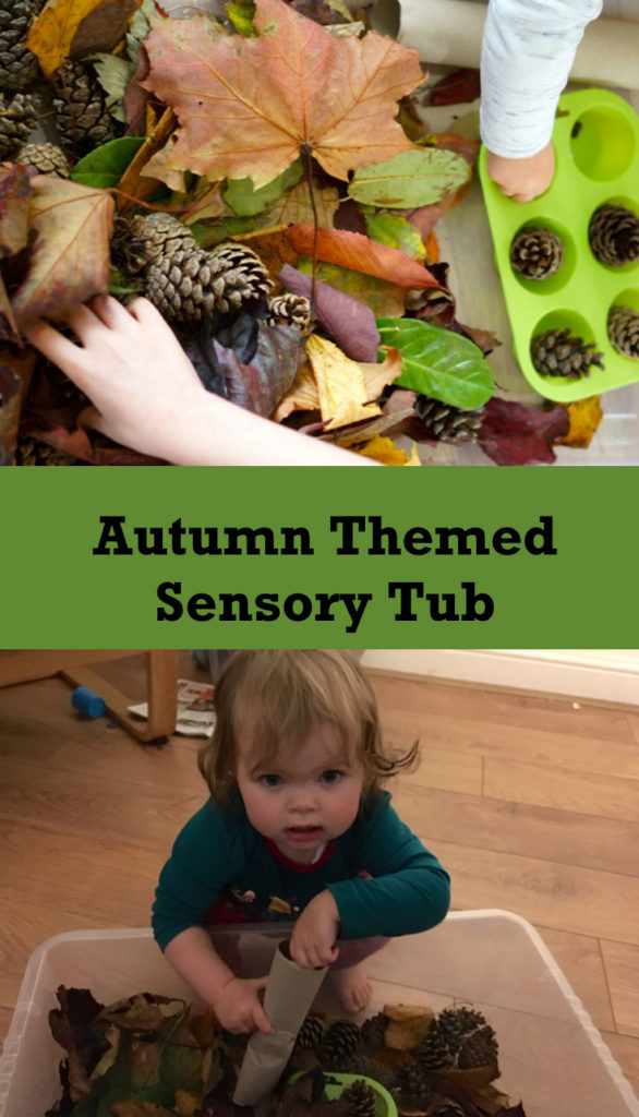 Bamm Boo - How and Why to Set up an Autumn Sensory Bin For Toddlers