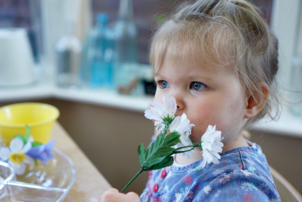 Spring play dough. This is a great invitation to play for toddlers, preschoolers and beyond. It's a good steam homeschool activity giving opportunities to talk about the changes of the season. 