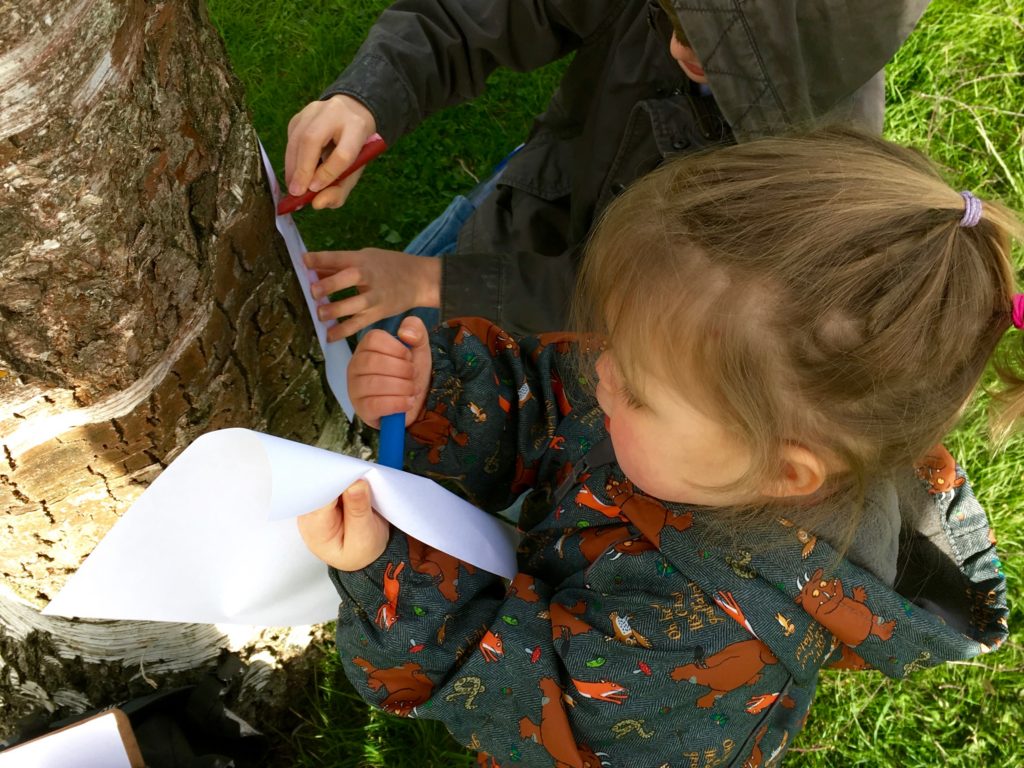 Spring nature activities in the woods using simple equipment you have at home. Suitable for mixed age groups. A great way to get your kids outside.